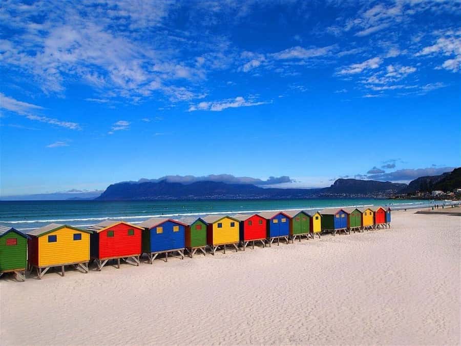 Cape Town: Private Full-Day Cape of Good Hope Tour - Key points to know before booking