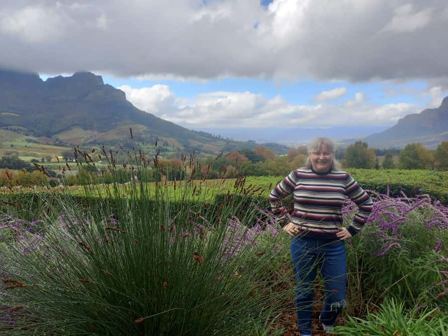 Cape Town: Private Full-Day Cape of Good Hope Tour - Hout Bay and the optional Seal Island boat
