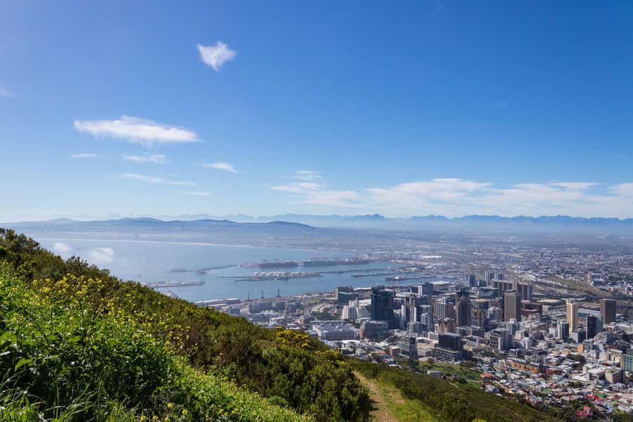 Cape Town: Private Full Day City & Winelands Tour - Company’s Gardens and the story of District Six
