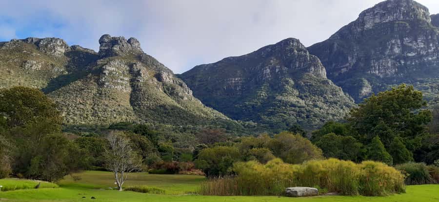 Cape Town: Private Full Day City & Winelands Tour - What the private setup really adds