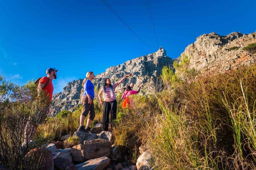 Cape Town Private Guided Table Mountain Hikes - Choosing between the main routes