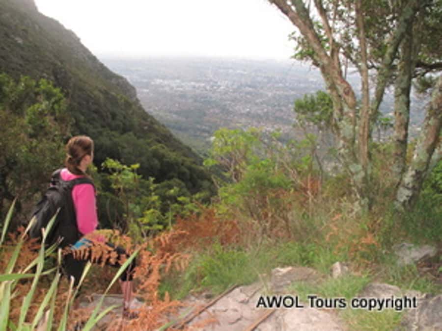 Cape Town Private Guided Table Mountain Hikes - How hard is the hike?