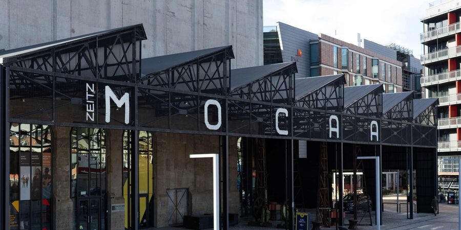 Cape Town: Private Half Day City Tour - Timing, languages, and practical planning