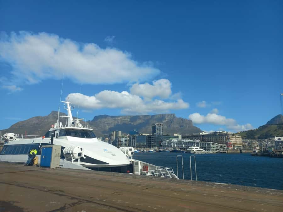 Cape Town: Private Robben Island Half-Day Tour with Pickup - The island bus tour and prison visit