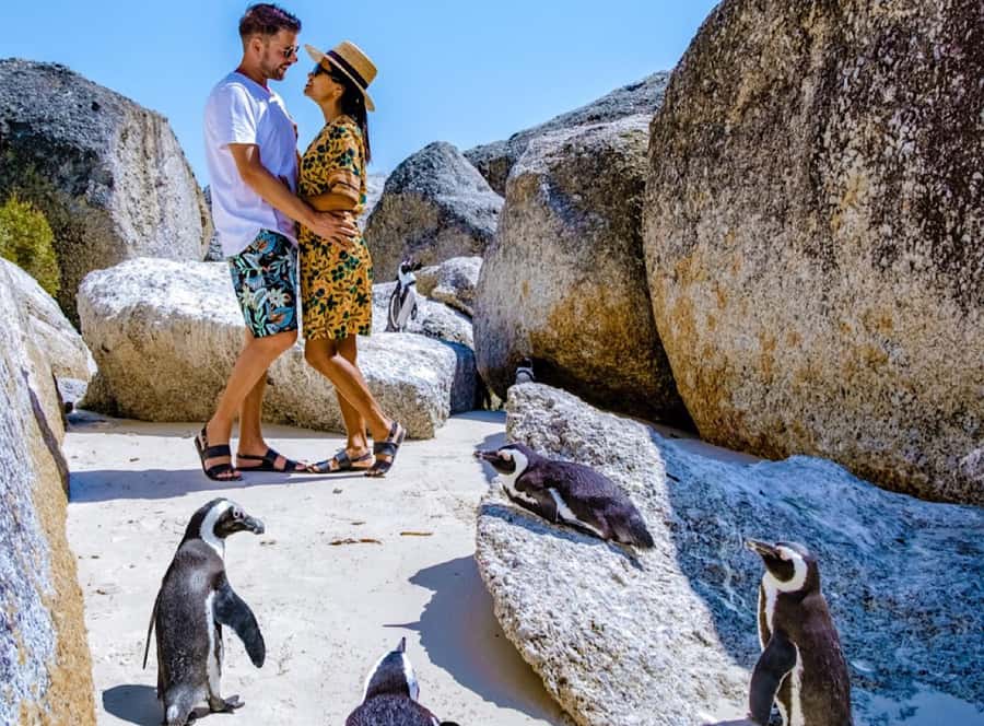 Cape Town Private Tour to Cape Of Good Hope and the Penguins - Camps Bay and the Atlantic Seaboard