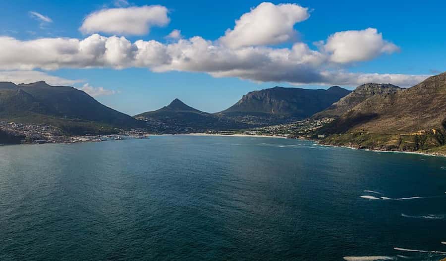 Cape Town Private Tour to Cape Of Good Hope and the Penguins - Hout Bay, seals, and a choice of seafood