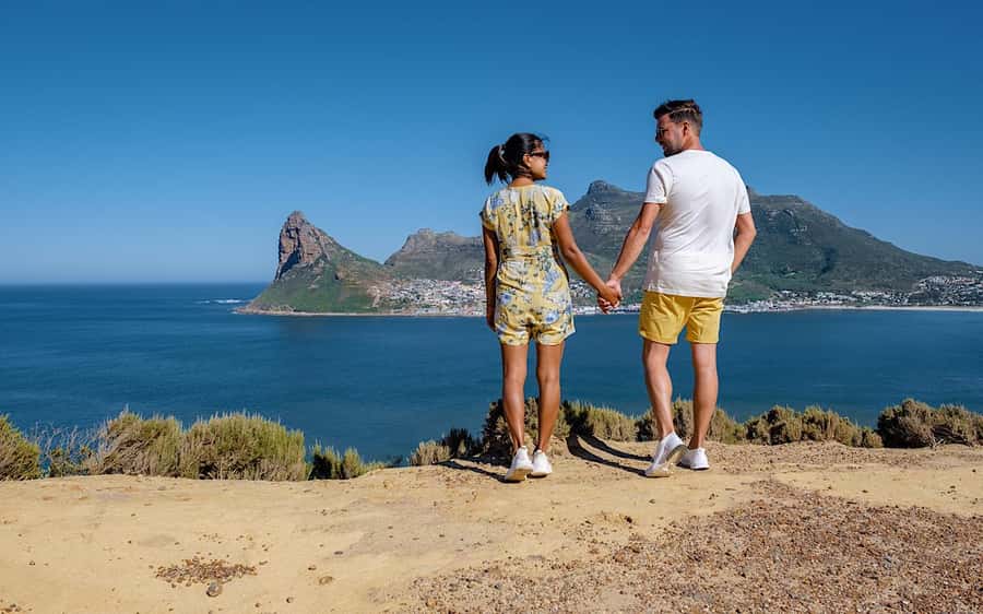 Cape Town Private Tour to Cape Of Good Hope and the Penguins - Cape Point Vineyards adds an optional taste of the Cape