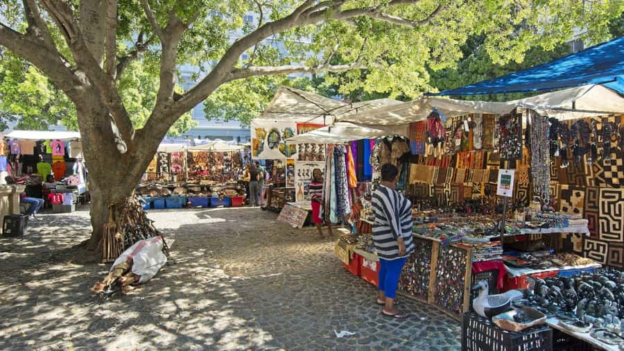 Cape Town Private Tour with a Local Highlights & Hidden Gems - Key Points Before You Book