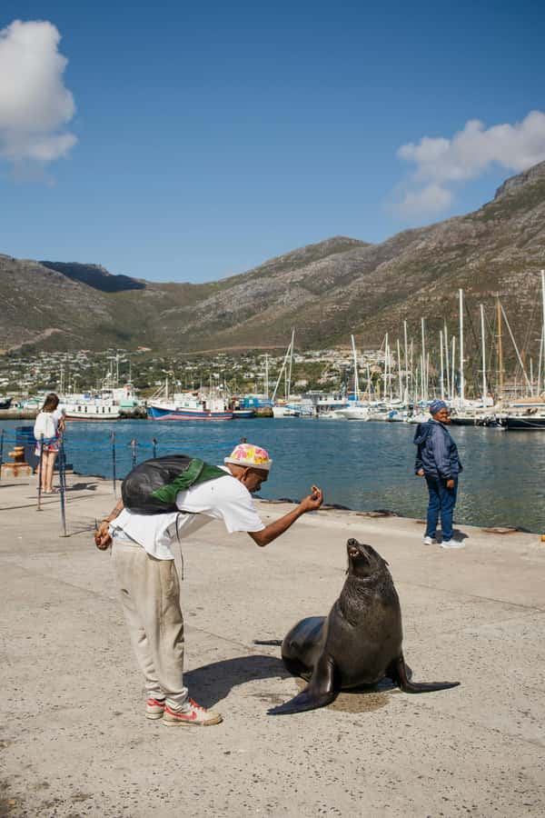 Cape Town: Private Tour with Customizable Itinerary - What the guide and vehicle add