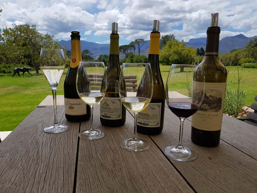 Cape Town: Private Wine Tour - Groot Constantia: start with South Africa’s oldest wine farm