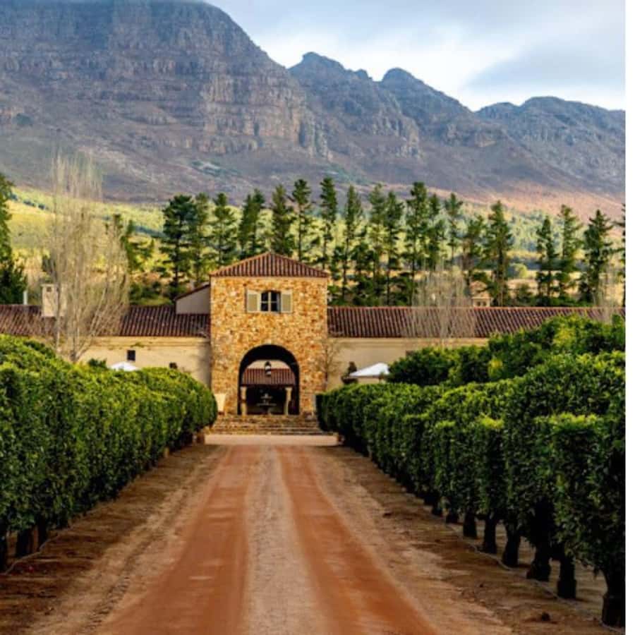 Cape Town: Private Wine Tour with Tastings and Lunch - Delaire Graff adds a second view of the region