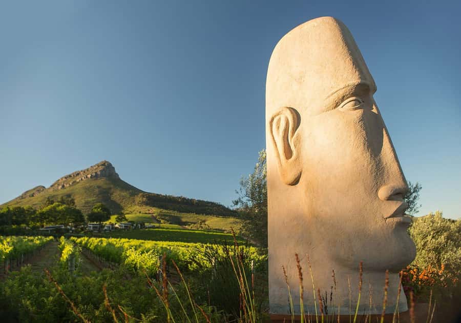 Cape Town: Private Wine Tour with Tastings and Lunch - Rust en Vrede gives lunch the time it deserves