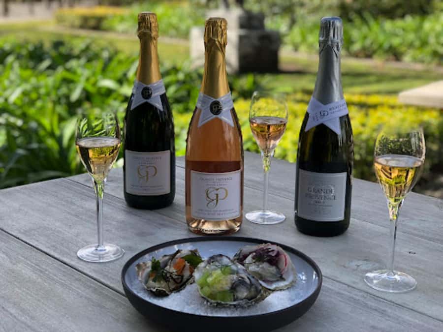 Cape Town: Private Wine Tour with Tastings and Lunch - Why private transport improves the day