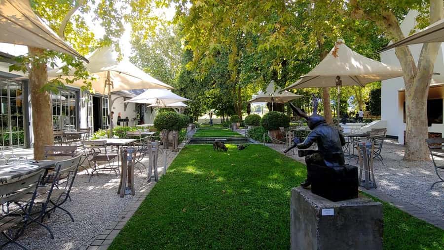 Cape Town: Private Wine Tour with Tastings and Lunch - A guide-led day with room for personal questions