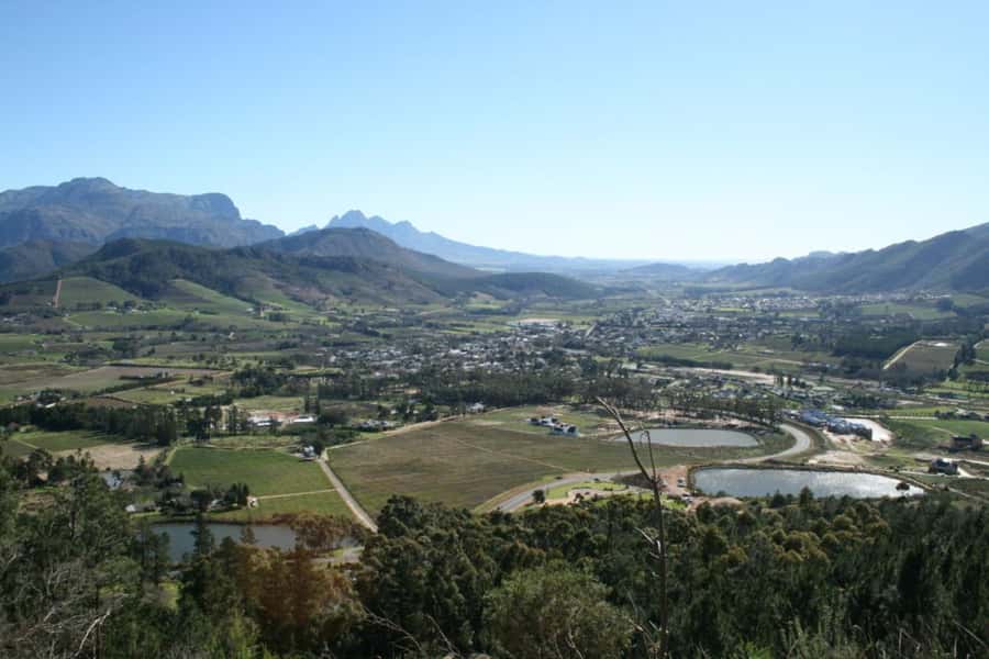 Cape Town: Private Wine Tour with Tastings and Lunch - Stellenbosch and Franschhoek in one day