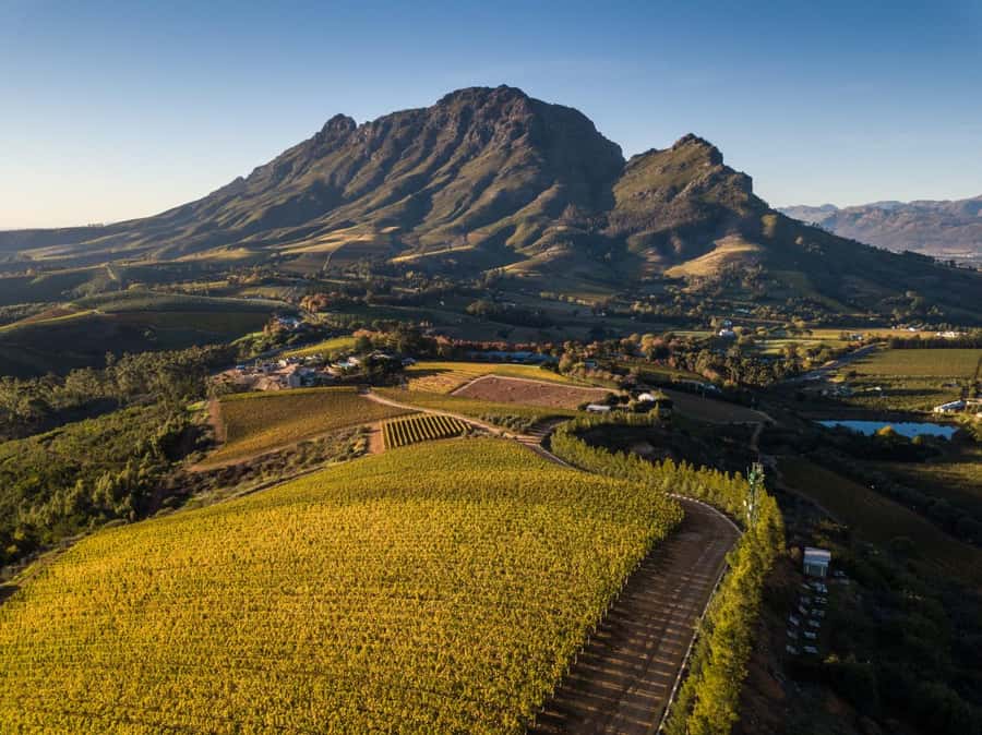 Cape Town: Private Wine Tour with Tastings and Lunch - Grande Provence brings an elegant first stop