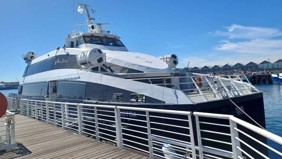 Cape Town: Robben Island, Cape of Good Hope and Penguin Tour - Key points to know before booking