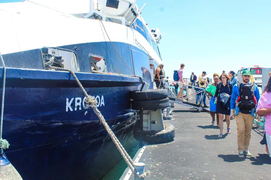 Cape Town: Robben Island ferry ticket plus Guided Tour - The 30-minute ferry to Robben Island