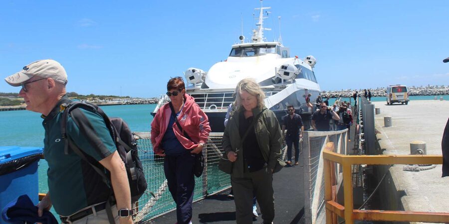 Cape Town: Robben Island ferry ticket with guided tour - What the $74 price buys you