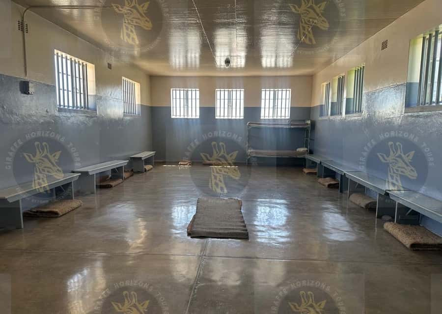 Cape Town: Robben Island Ferry with Prison Ticket and Tour - Is the $90 price good value?