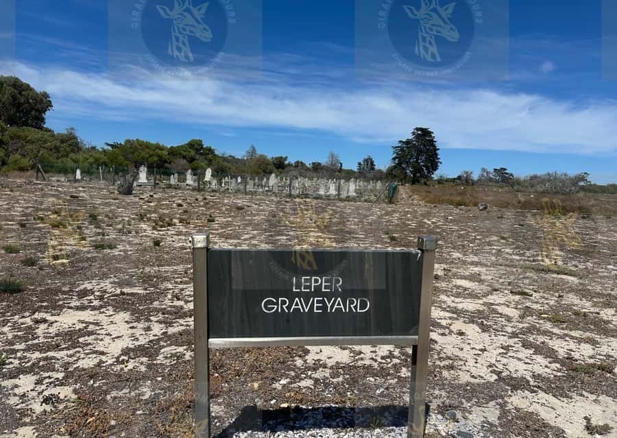 Cape Town: Robben Island Ferry with Prison Ticket and Tour - Why Robben Island feels different from a normal museum visit