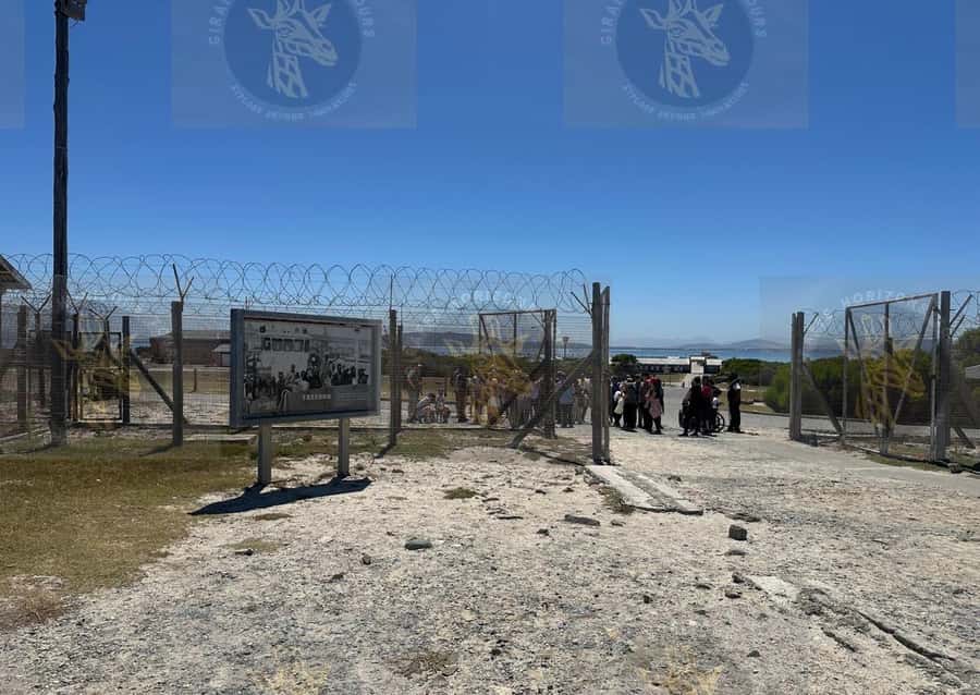 Cape Town: Robben Island Ferry with Prison Ticket and Tour - The island bus tour and its key landmarks