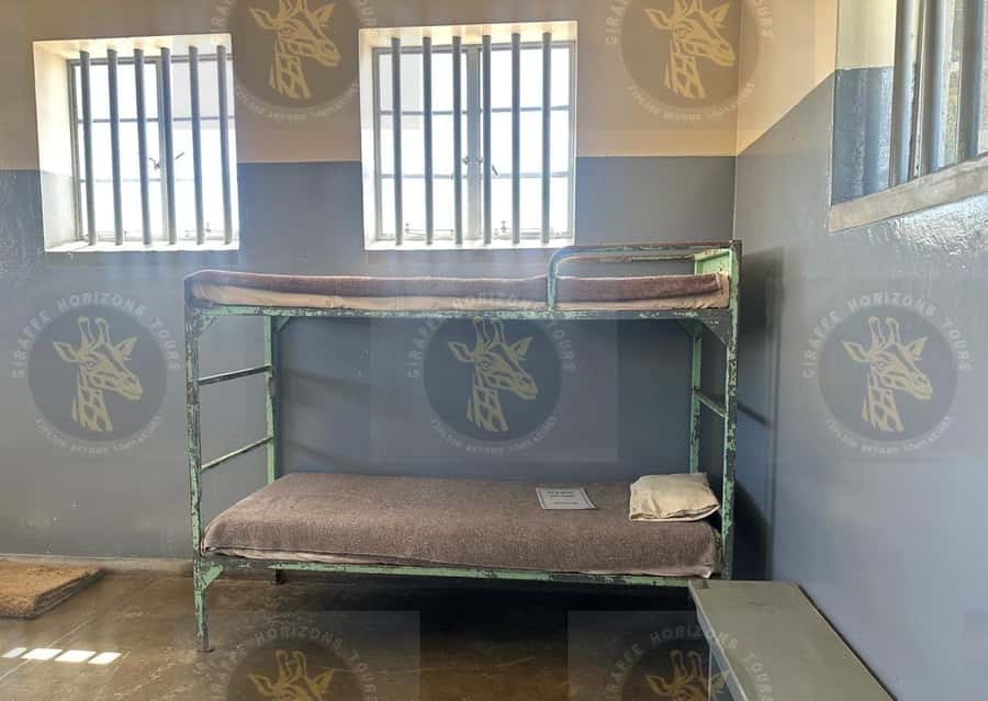 Cape Town: Robben Island Ferry with Prison Ticket and Tour - How the timing works over three and a half hours