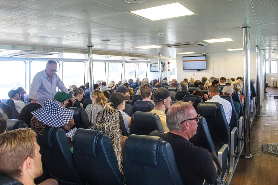 Cape Town:Robben Island Guided Tour, Skip the Ticketing Line - Key points to know before you go
