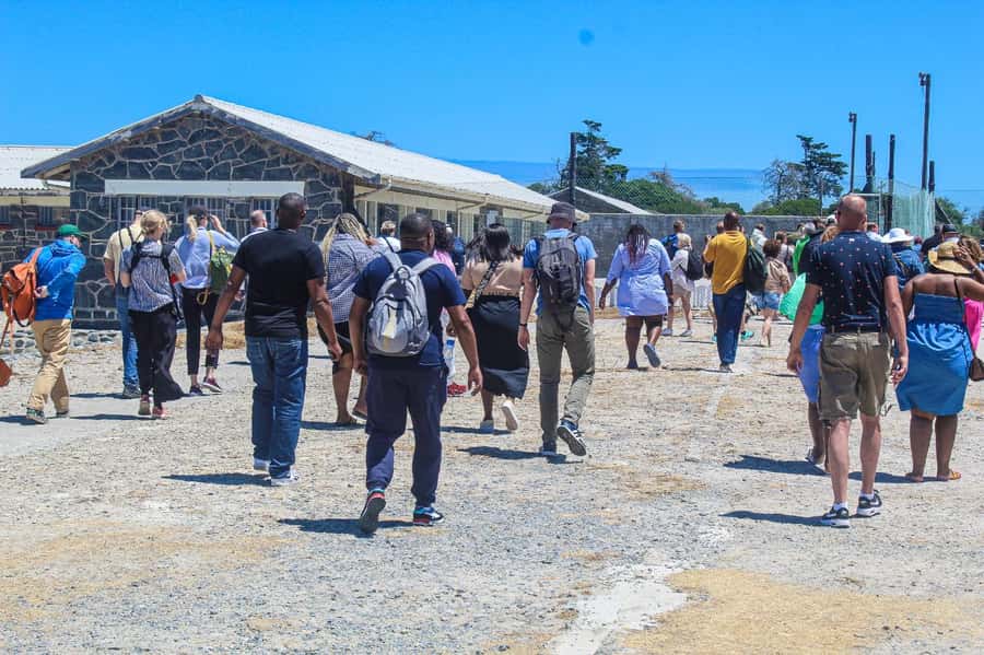 Cape Town: Robben Island Guided Tour ticket & guided tour - Seeing the island beyond the prison