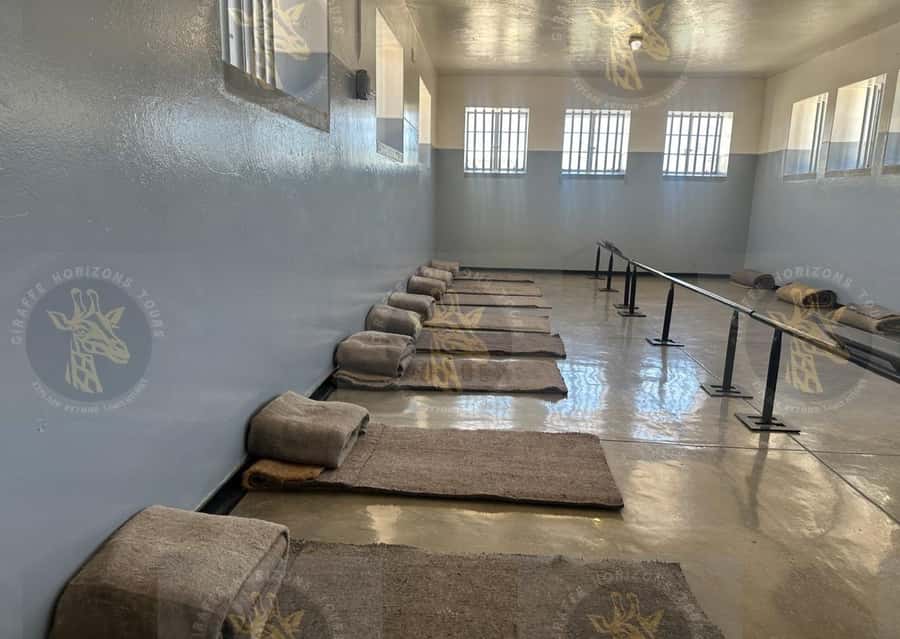 Cape Town: Robben Island Half-Day Tour w/ Pre-Booked Ticket - My practical advice for a better visit