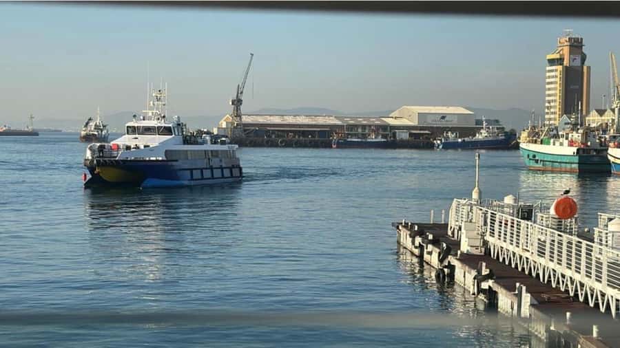 Cape Town: Robben Island Half-Day Tour with Entry Tickets - What the ex-prisoner guide adds