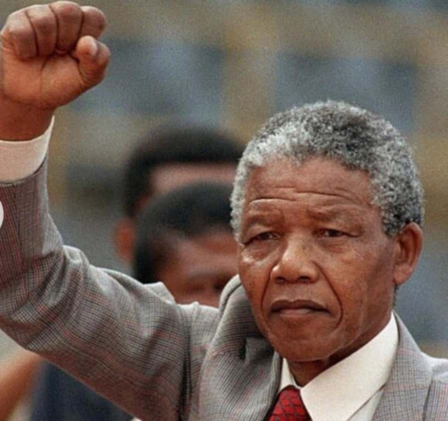 Cape Town: Robben Island Half-Day Tour with Entry Tickets - Who will get the most from this tour
