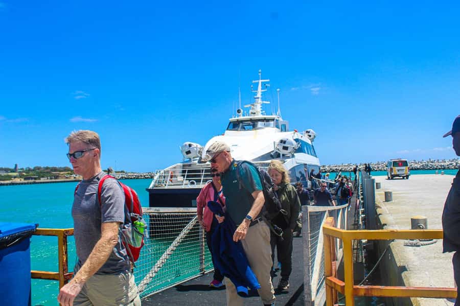 Cape Town: Robben Island plus Table Mountain Tickets - Returning to the waterfront and changing pace