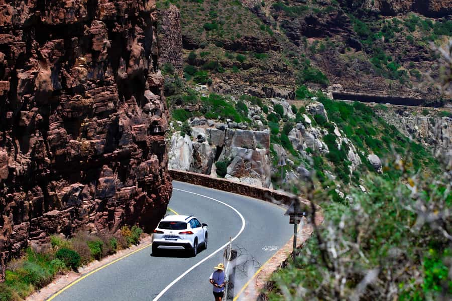 Cape Town's Best: Cape Point & Boulders Beach Group Tour - Muizenberg closes the coastal loop