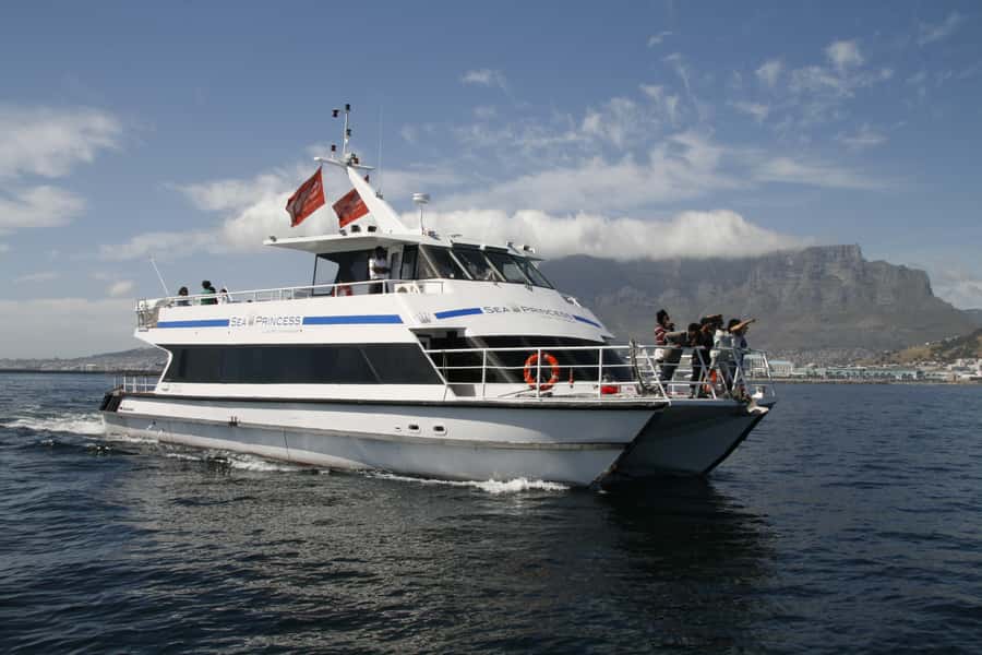 Cape Town: Scenic 1-Hour Coastal Catamaran Cruise - Leaving Quay 5 at the V&A Waterfront