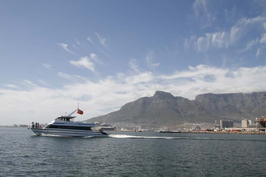 Cape Town: Scenic 1-Hour Coastal Catamaran Cruise - Who will enjoy this Cape Town cruise most?