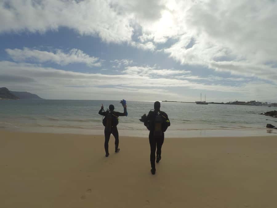 Cape Town: Scuba Diving Experience for Beginners - Key points to know before you book