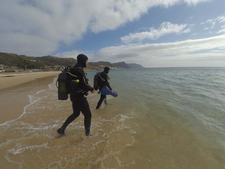 Cape Town: Scuba Diving Experience for Beginners - Getting fitted with wetsuit, hood, fins, and buoyancy gear