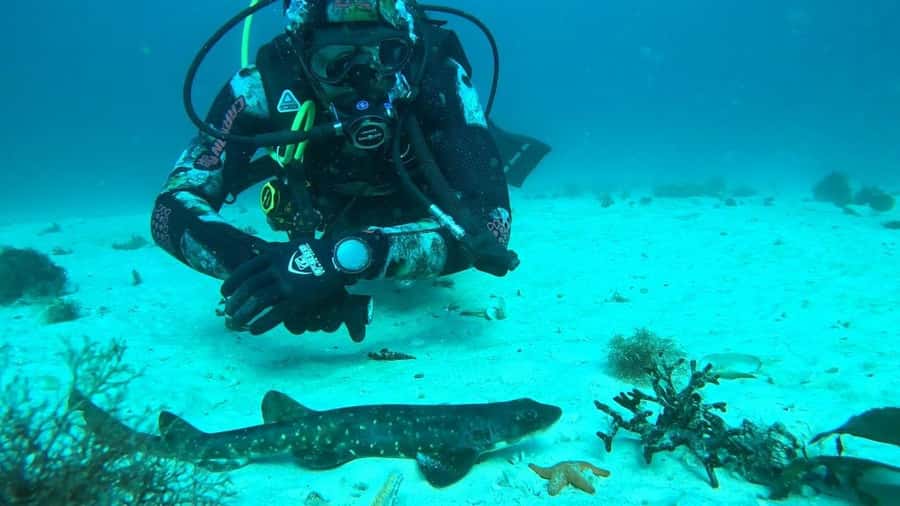 Cape Town: Scuba Diving Experience for Beginners - Choosing the underwater site for weather and ability