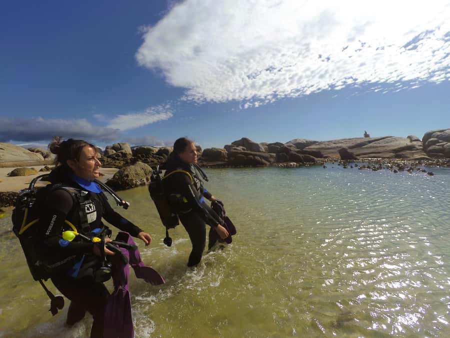 Cape Town: Scuba Diving Experience for Beginners - Who will enjoy this most