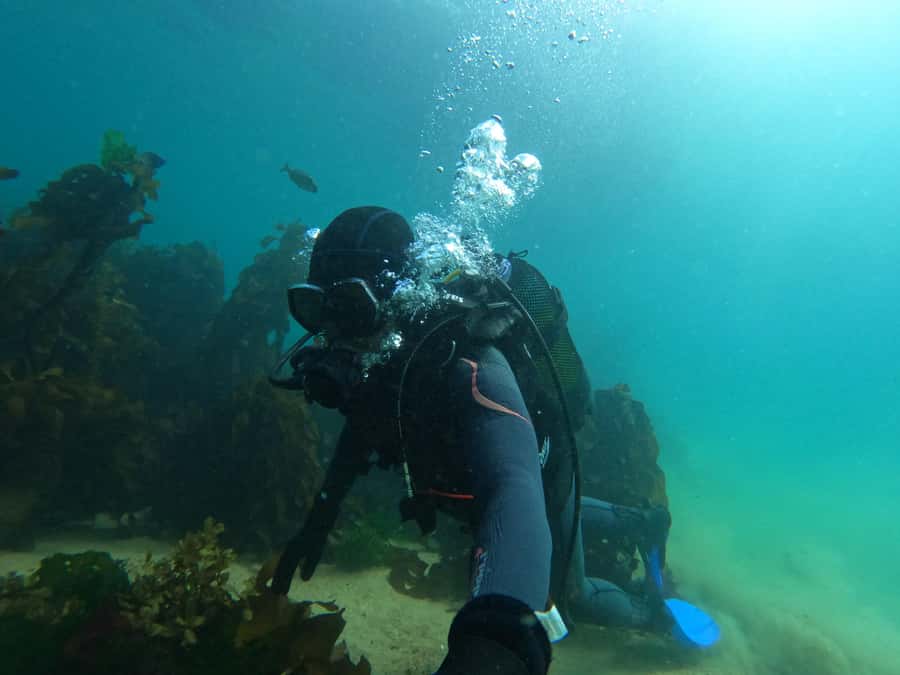 Cape Town: Scuba Diving Experience for Beginners - What to bring and how to plan the day