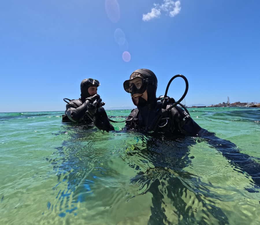 Cape Town: Scuba Diving Experience for Beginners - The practical tradeoff: wildlife variety versus weather control