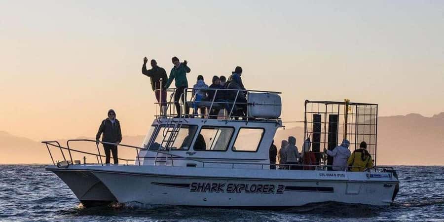 Cape Town: Shark Cage Diving Tour (with Breakfast & Lunch) - The Cape Town pickup and 2.5-hour drive