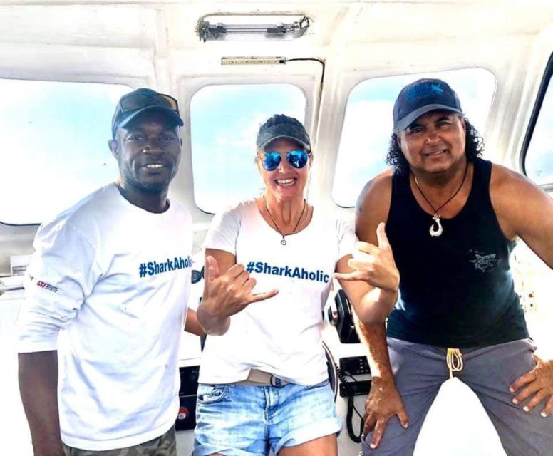 Cape Town: Shark Cage Diving with Snacks and Soft Drinks - The best part: watching the sharks move