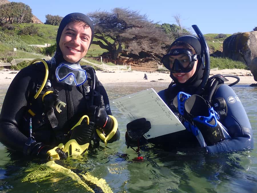 Cape Town: Shark Science SCUBA Diving Experience - What this Simon’s Town experience is really about