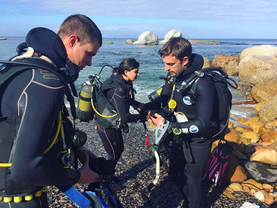 Cape Town: Shark Science SCUBA Diving Experience - Warm drinks, equipment rinsing, and logging the results