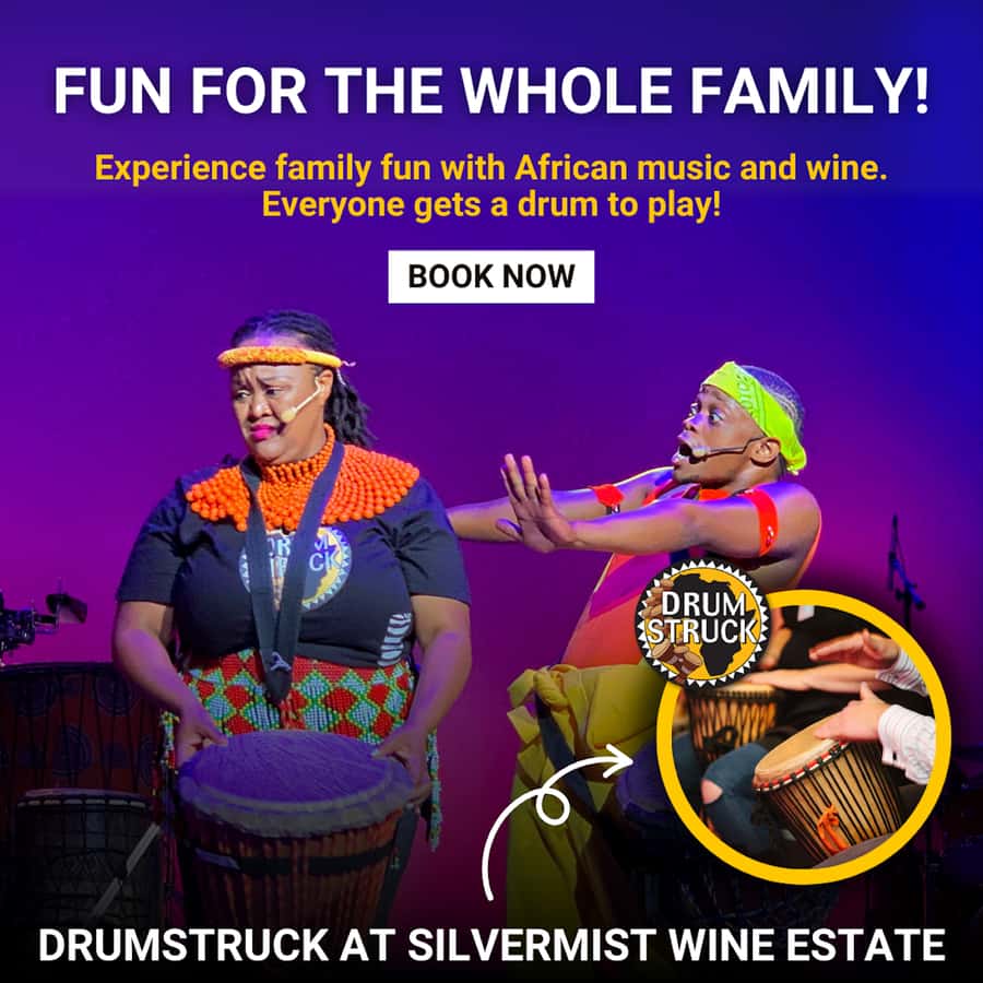 Cape Town: Silvermist Estate Wine Tasting & Drumstruck Show - Should you book Silvermist and Drumstruck?