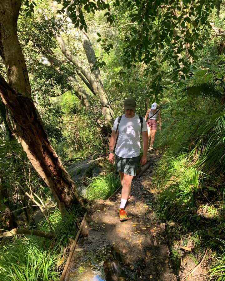 Cape Town: Skeleton Gorge and Kirstenbosch Gardens Hike - Skeleton Gorge, where the forest replaces the city