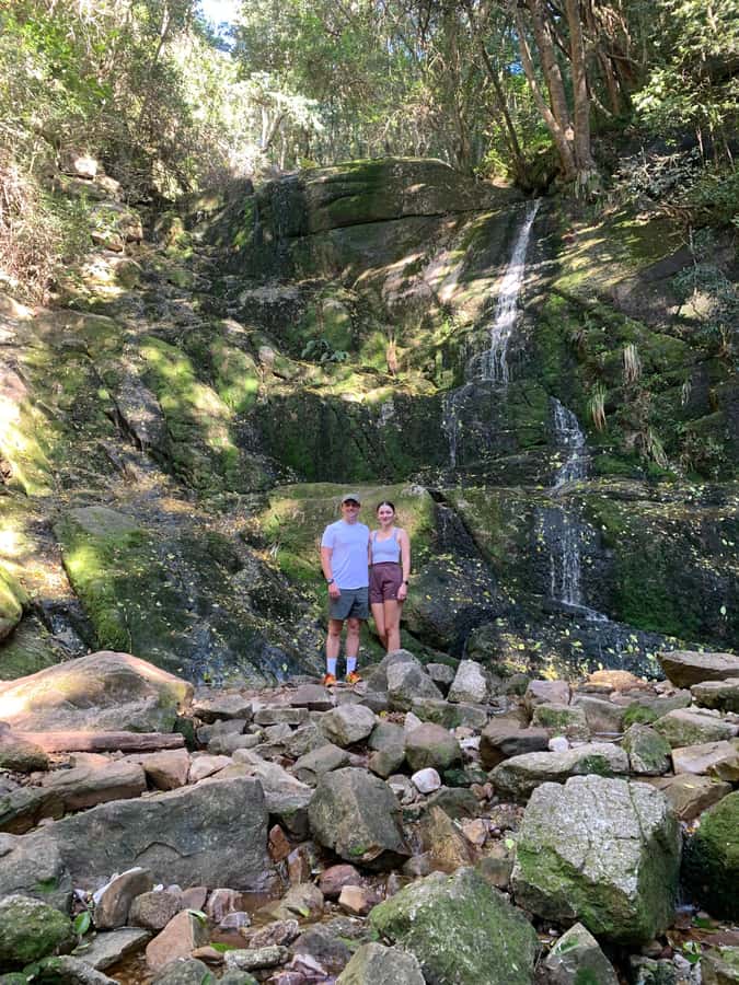 Cape Town: Skeleton Gorge and Kirstenbosch Gardens Hike - What the guides add beyond route-finding