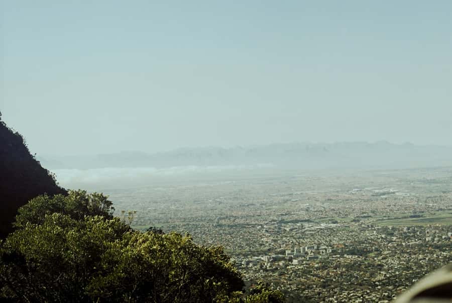 Cape Town: Skeleton Gorge and Kirstenbosch Gardens Hike - How hard is the climb in real terms?